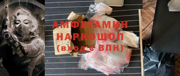 сатива Балахна