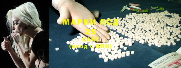 ПСИЛОЦИБИНОВЫЕ ГРИБЫ Баксан