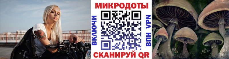 Купить  Межгорье  Галлюциногенные грибы прущие грибы 